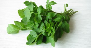 Watercress: A Potent Cancer Fighting Powerhouse | Natural Health 365